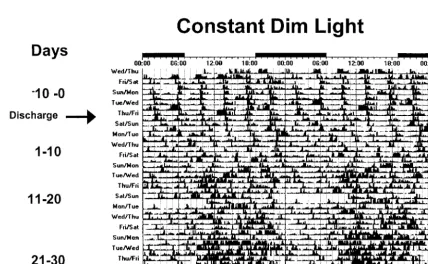 Fig 7. Actograms of rest-activity in a representative infant exposed to constant dim light