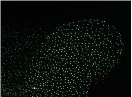 Figure 1-6, for example, was taken in complete darkness, with the sofa lit only by the Kinect