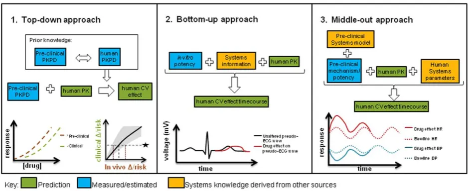Figure 4 Schematic and graphical description of commonly adopted translational approaches for drug-induced CV changes and theirrelative use of systems information