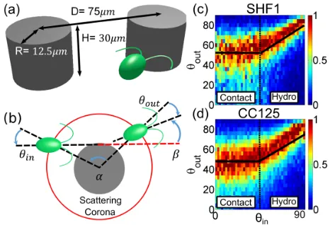 FIG. 1 (color online).Experimental configuration and scatter-ventions used for the (signed) scattering angles
