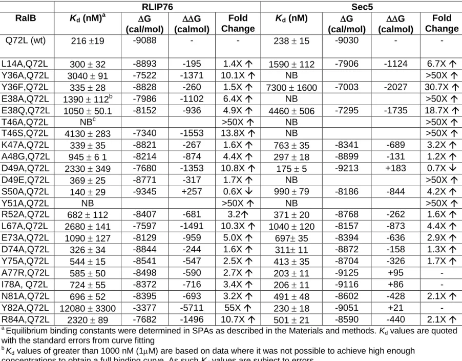 Table 2: The affinities of RalB mutants for RLI76 RBD and Sec5 RBD  RLIP76   Sec5  RalB  K d  (nM) a G  (cal/mol)  G  (calmol)  Fold  Change  K d  (nM)  G  (cal/mol)  G  (calmol)  Fold  Change  Q72L (wt)  216 19  -9088  -  -  238  15  -9030  -  -  