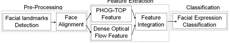 Figure 5: Framework for the facial expression recognition.