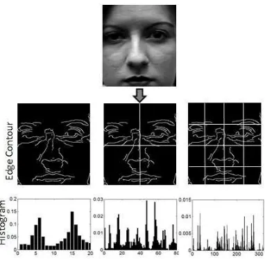 Figure 1: PHOG descriptor of a face.
