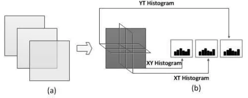 Figure 2: Three planes in spatio-temporal domain for extracting TOP features, and the histogram con-