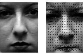 Figure 4: (Left) a neutral image, and (right) with the dense optical ﬂow superimposed.