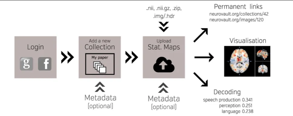 FIGURE 1 | Schematic overview of the NeuroVault platform. To beginworking with NeuroVault, users are asked to create an account or log inusing their Facebook or Google account