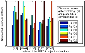 Fig. 2. An example of modelling the covariate effect by image difference between