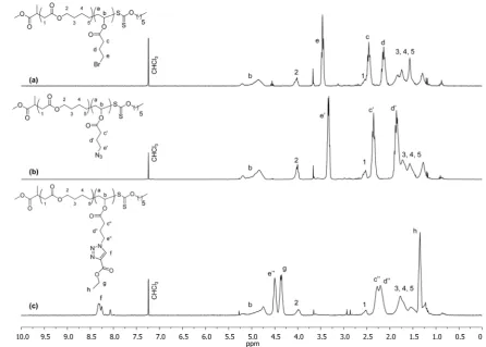 Figure 5. Molar mass changes occurring during the hydrolysis ofent time points in a solution of KOH in methanol (0.1 M) at 40poly(MDO0.10-co-VBr0.90)55 and poly(MDO0.26-co-VBr0.74)54 for diﬀer- °C.