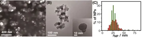 Figure 2. (A) FE-SEM and (B) TEM images of RuOx NPs syn-thesized with sodium citrate. (C) Size distribution from the analysis of TEM images (red) and from DLS (green), in terms of the particle radius, rNP