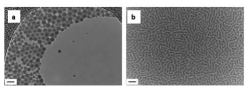 Fig. 4Representative TEM images of self-assemblies prepared by RAFT(a)dispersion polymerization for a target copolymer PMMA220-b-PTMA50 in 9a, chloroform; (b) 9b, 1,4-dioxane