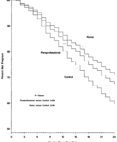 Fig 1. Curves from proportional hazard model of time to first subsequent pregnancy by treatment group.