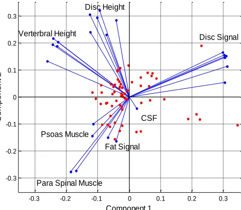 Fig. 7. Principal component two shows a gender bias as majority of male subjects lie on the positive half and majority of female subjects lie on the negative half of component two