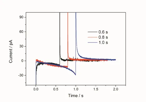 Figure 6. Chronoamperometry data obtained on HOPG for Pd electrodeposition at 0.05 V for 