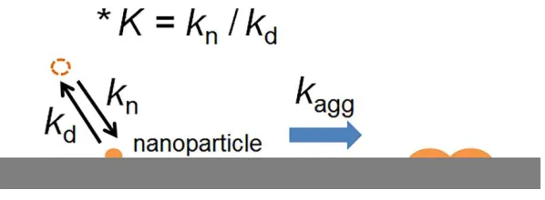 Figure 7. Schematic illustration showing the proposed electrochemical nucleation and growth 