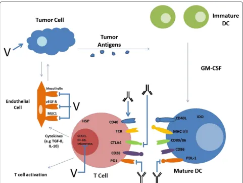 Table 1 Cellular Microenvironment of Pancreatic Cancer