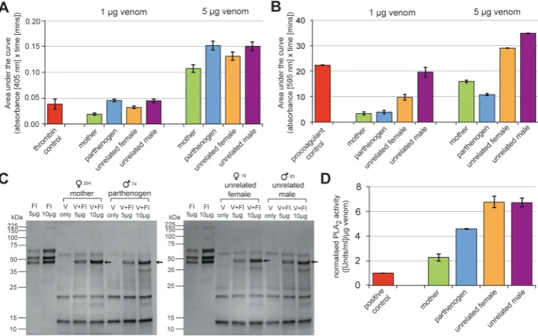 Figure 5. Functional comparisons of bioactivity between the venoms of the parthenogen, mother and unrelated assay