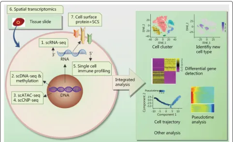 Fig. 1 Overview of current common SCS approaches and analyses. 1. scRNA-seq: By capturing transcripts and generating sequencing libraries forindividual cells, scRNA-seq assesses biological properties of cell populations at unprecedented resolution