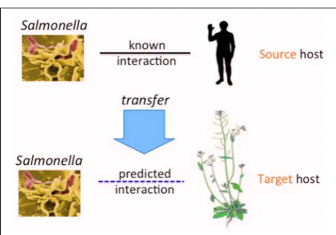 FIGURE 1 | Transfer of PPIs from the source host (for ex: human) toanother host, the target host (for example Arabidopsis), for thecommon pathogen, Salmonella.