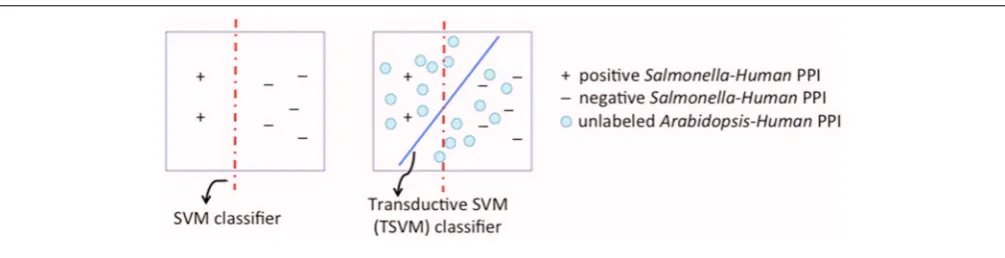 FIGURE 4 | Transductive Support Vector Machine (SVM) for transferlearning. The ﬁrst panel shows the conventional SVM classiﬁer