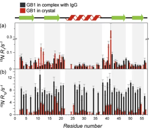 Figure 1a shows 15N R1 rates measured for GB1 in bothenvironments as a function of the residue number (GB1:IgG
