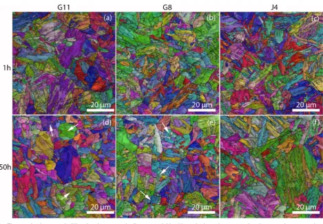 Figure 4 shows the microstructures for the long term