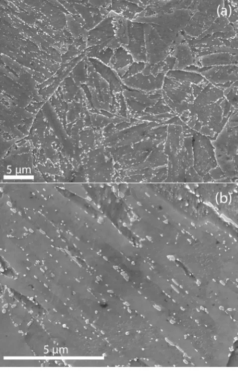 Fig. 5. Micrographs for the T91 as tempered at 780(b) EBSD image quality map. Examples of equi-axed subgrains and signi �C for 100 h (T91-T100h) (a) SEMﬁcantlycoarsened carbide precipitates are marked by black and white arrows respectively.