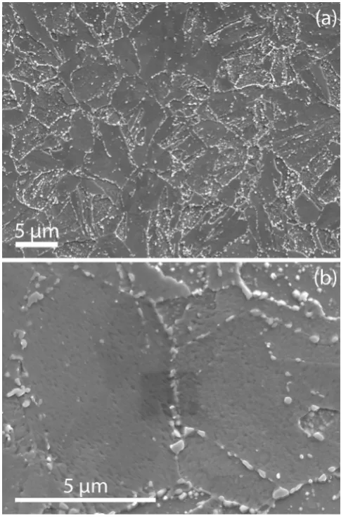 Fig. 6. (a) SEM micrograph and (b) grain size distribution for the mis-heat-treated T91(T91-M) sample.