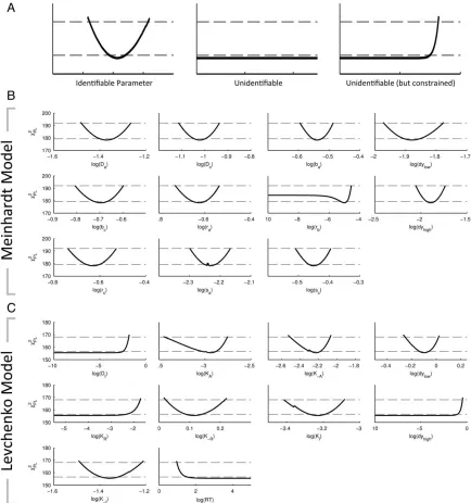 Figure 3. Profile likehood estimates for the Meinhardt and Levchenko models of cell polarity: (estimation (PLE) analysis for example parameters demonstrating identifiable, unidentifiable and unidentifiable (but constrained) asdefined by (24)