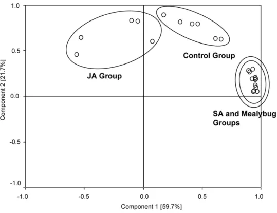 Figure 2. Principal component analysis (PCA) of volatile pattern of plants from different treatments