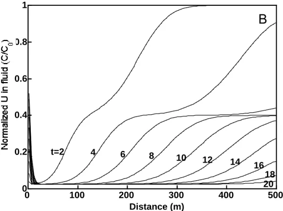Figure 2.6   Temporal development of concentration profiles for aqueous uranium typical of (a) group A  and (b) group B