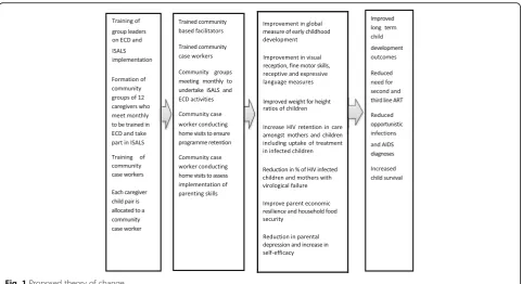 Fig. 1 Proposed theory of change