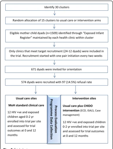 Fig. 2 Trial design