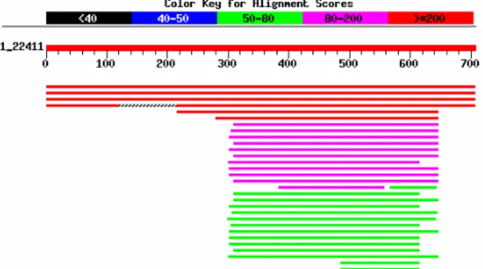 Figure 2 is an example of an output returned by the BLAST server of the “National Center for  Biotechnology Information” (NCBI; see www.ncbi.nlm.nih.gov/blast/)