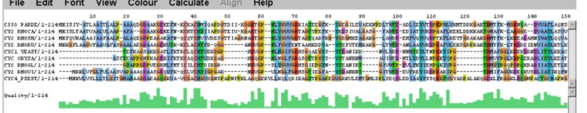 Figure 3 Graphical illustration of a multiple sequence alignment. 