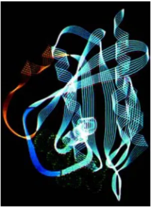 Figure 7 Three-dimensional structure of the ras protein (image credit: “U.S. Department of  Energy Human Genome Program”, www.ornl.gov/hgmis)