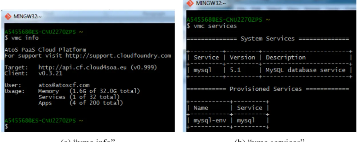 Figure 9.6: Results from the “vmc info” and “vmc services” commands