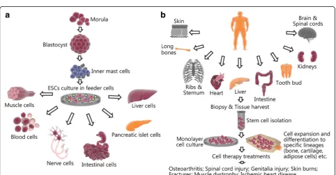 Fig. 1 The basic materials and processes needed for tissue engineering technologies [6]