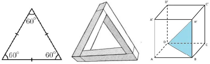 Fig. 1. Is perception a simple cognitive task in all cases? 