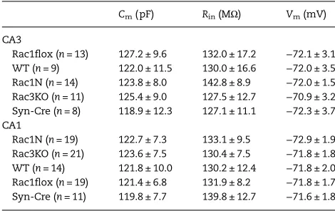 Table 1 Passive properties of pyramidal neurons from WT, Rac1N andRac3KO mice