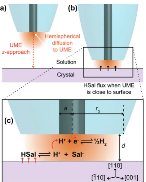 Fig. 1. This causes the weak acid in solution to dissociate,