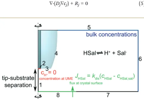 Fig. 3Geometry (not to scale) of the FEM model used to simulate tipcurrent response for various values of the dissolution rate, kdis.
