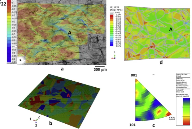 Fig. 5. (a) Deformed specimen after compression at 1000 �C showing the location of the microgrid through the thickness and (b) a close-up view of the deformedmicrogrids (Fe-30wt%Ni alloy).