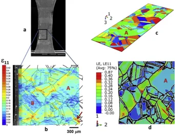 Fig. 8. (a) Deformed tensile specimen showing the analysed microgrid area, b) tensile component strain map, c) CPFE model and d) predicted strain map(Fe-30wt%Ni alloy).