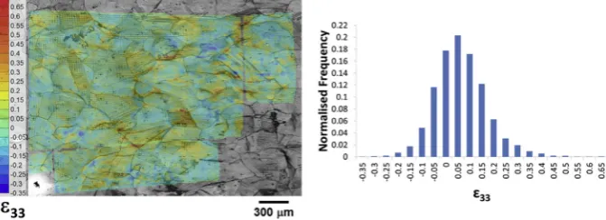 Fig. 9. (a) Out-of-plane strain component map and (b) corresponding histogram for the compression test at 1000 �C (Fe-30wt%Ni alloy).