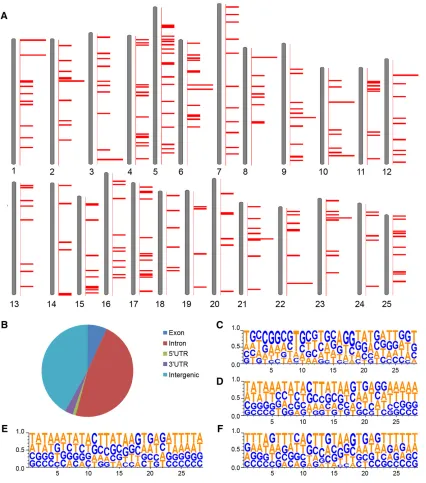 Figure 5 Mapping offrom 283 founder lines) were used for this analysis. (A) Relative positions of integration sites on each chromosome according to zebragenome Zv9