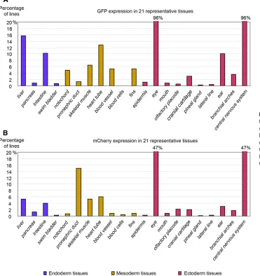 Figure 2 Reporter expression in dif-ferent tissues. Graphs in (A) and (B)show percentage of reporter positivelines (n = 642) with enhancer trapreporter GFP expression (A) and pro-tein trap reporter mCherry expression(B) in 21 tissues/organs derived fromthe three germ layers.