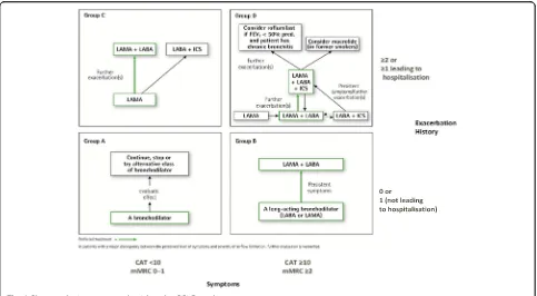 Fig. 1 Pharmacologic treatment algorithms by GOLD grade