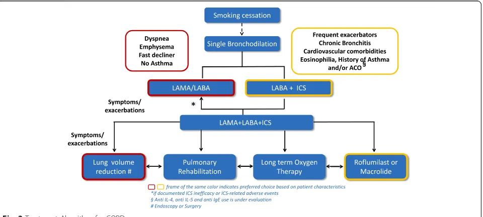 Fig. 2 Treatment Algorithm for COPD