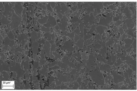Figure 4: SEM image for sample without electropulsing 