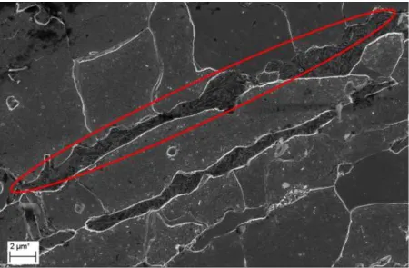 Figure 7: SEM image for sample with electropulsing  